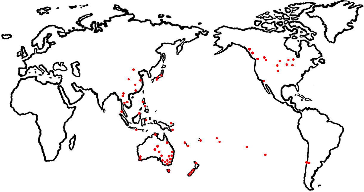 Travel Map